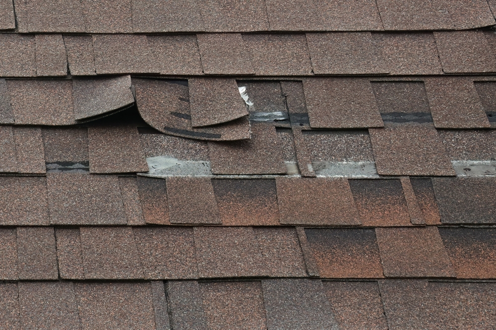 damaged roofing shingles